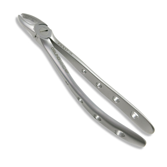 Adult Extraction Forcep, FXX17